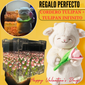 ✨ Pack Tulipán con Peluche y Caja Decorativa | Un Regalo que Ilumina el Corazón