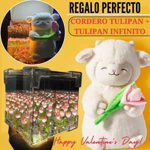 ✨ Pack Tulipán con Peluche y Caja Decorativa | Un Regalo que Ilumina el Corazón