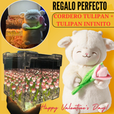 ✨ Pack Tulipán con Peluche y Caja Decorativa | Un Regalo que Ilumina el Corazón