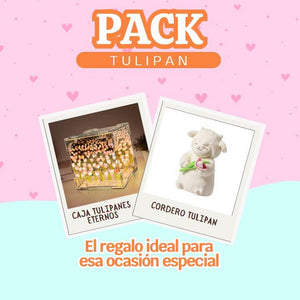 ✨ Pack Tulipán con Peluche y Caja Decorativa | Un Regalo que Ilumina el Corazón