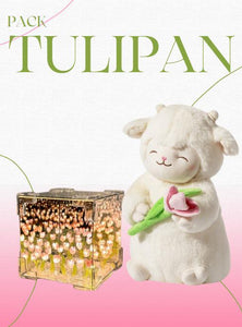 ✨ Pack Tulipán con Peluche y Caja Decorativa | Un Regalo que Ilumina el Corazón