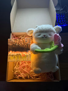 ✨ Pack Tulipán con Peluche y Caja Decorativa | Un Regalo que Ilumina el Corazón